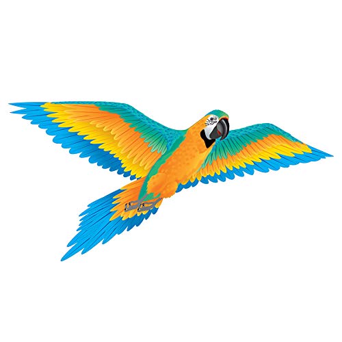 3-D Macaw