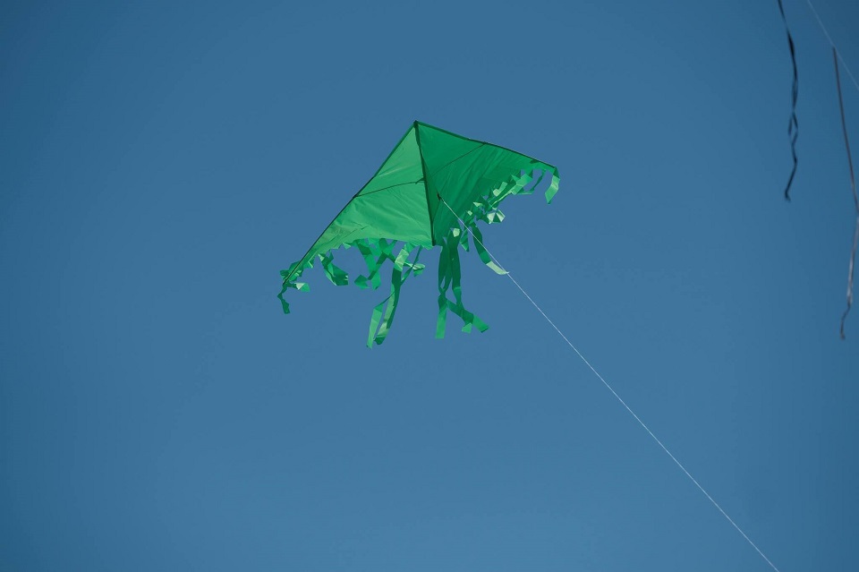 Fringe Tail Delta Green Kite