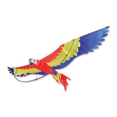 3-D Parrot